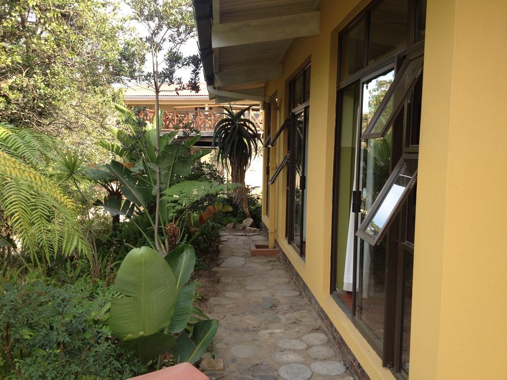 Jungle Monkey Backpackers Hostel Port Saint John's Room photo