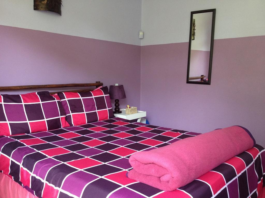 Jungle Monkey Backpackers Hostel Port Saint John's Room photo