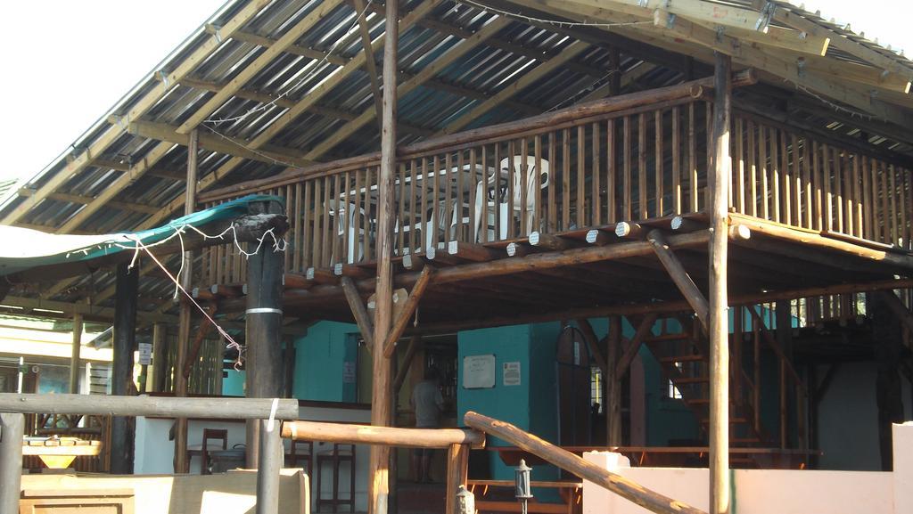 Jungle Monkey Backpackers Hostel Port Saint John's Exterior photo